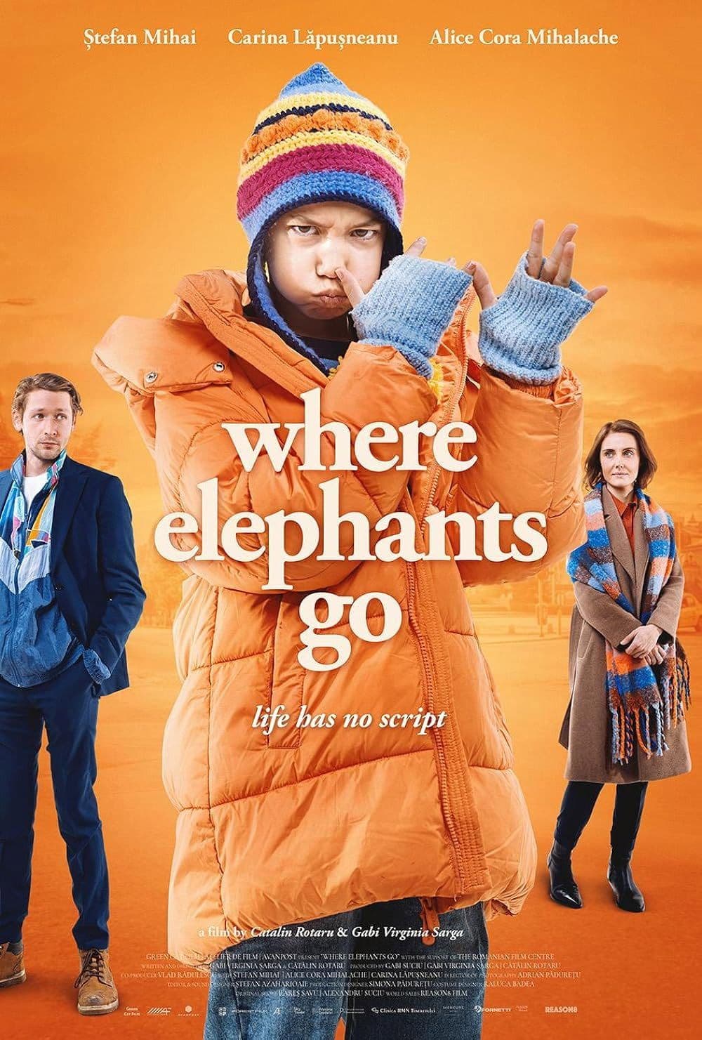 Where Elephants Go 2024 720p WEBRip-YTSGGYTSBZ