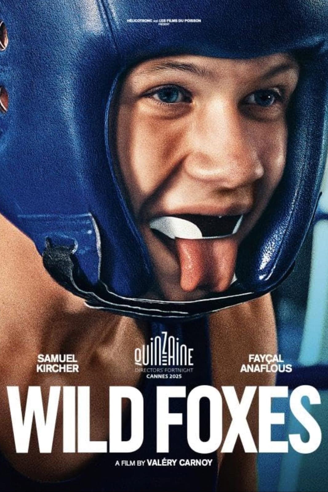 La Danse Des Renards 2025 1080p WEBRip x265 10bit 5 1-YTSGGYTSBZ
