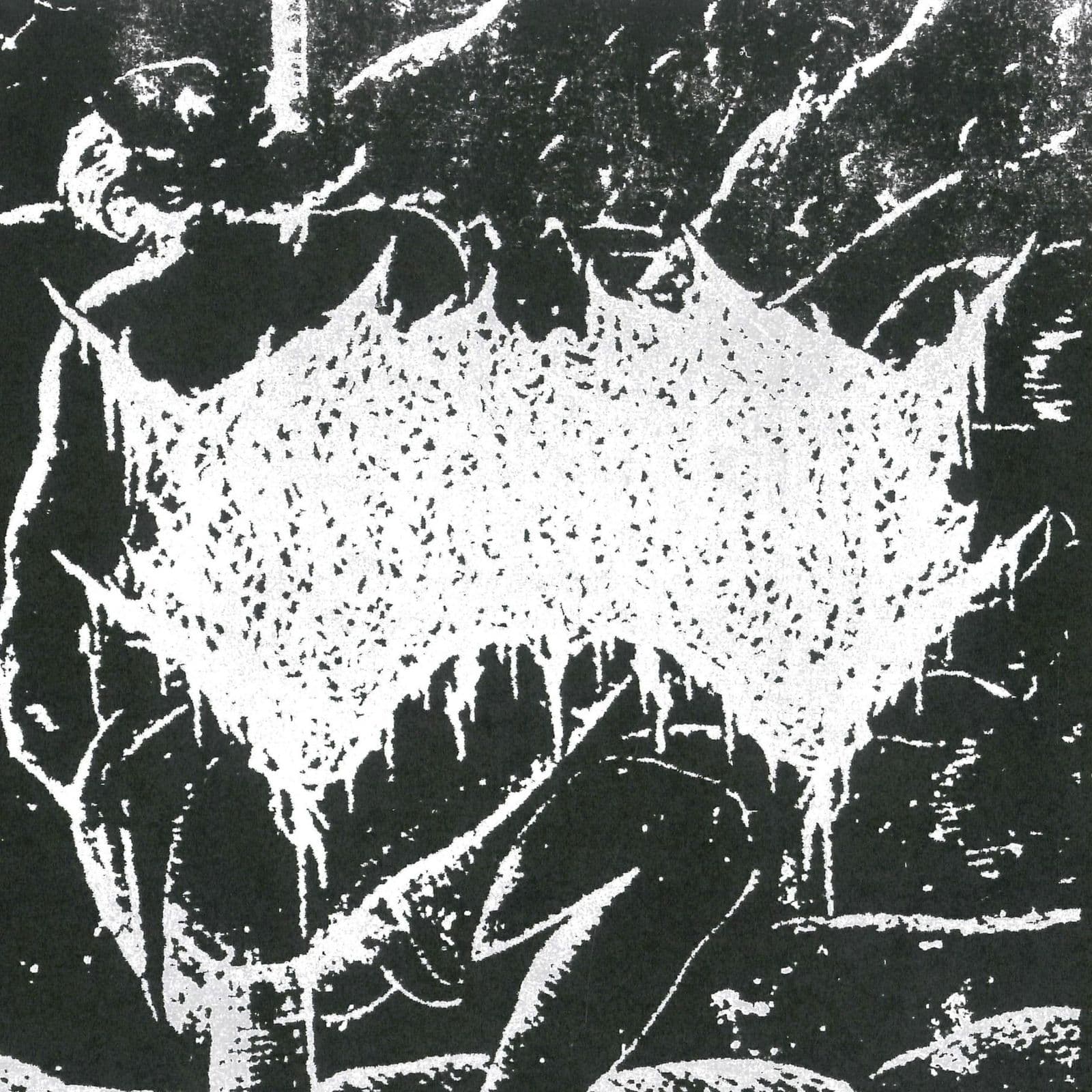 Consanguinity-2024_Demos-DEMO-16BIT-WEB-FLAC-2025-MOONBLOOD