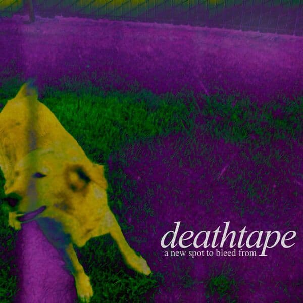 Deathtape-A_New_Spot_To_Bleed_From-24BIT-WEB-FLAC-2026-VEXED