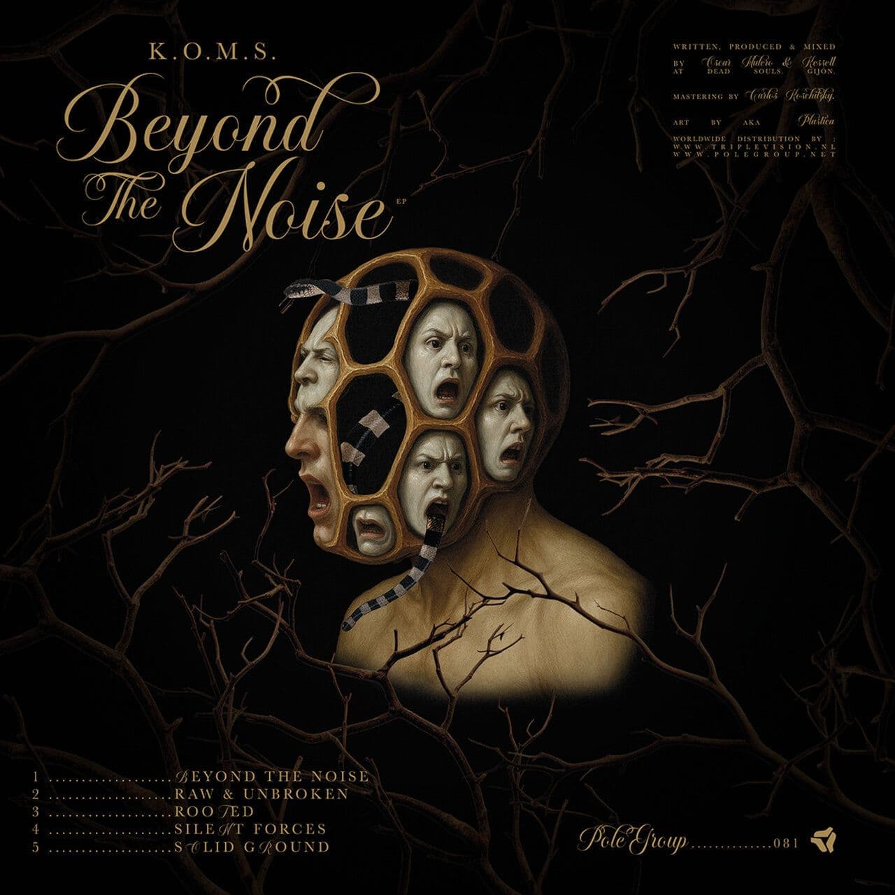 K.O.M.S.-Beyond_The_Noise_EP-POLEGROUP081-16BIT-WEB-FLAC-2026-WAVED