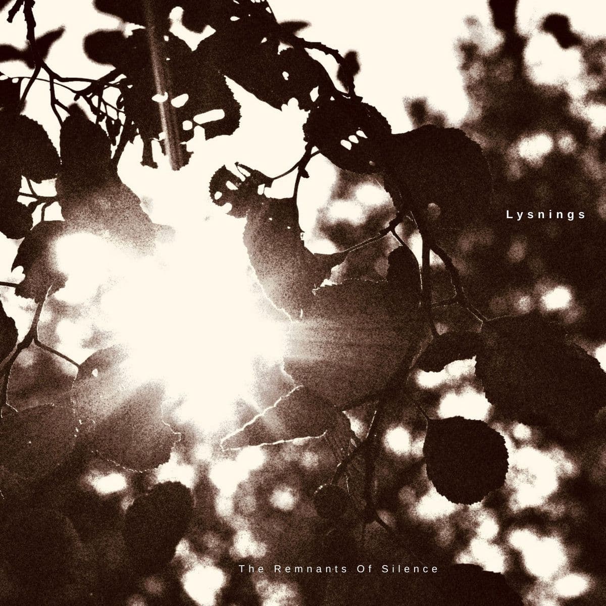 Lysnings-The_Remnants_Of_Silence-24BIT-WEB-FLAC-2026-AGITB