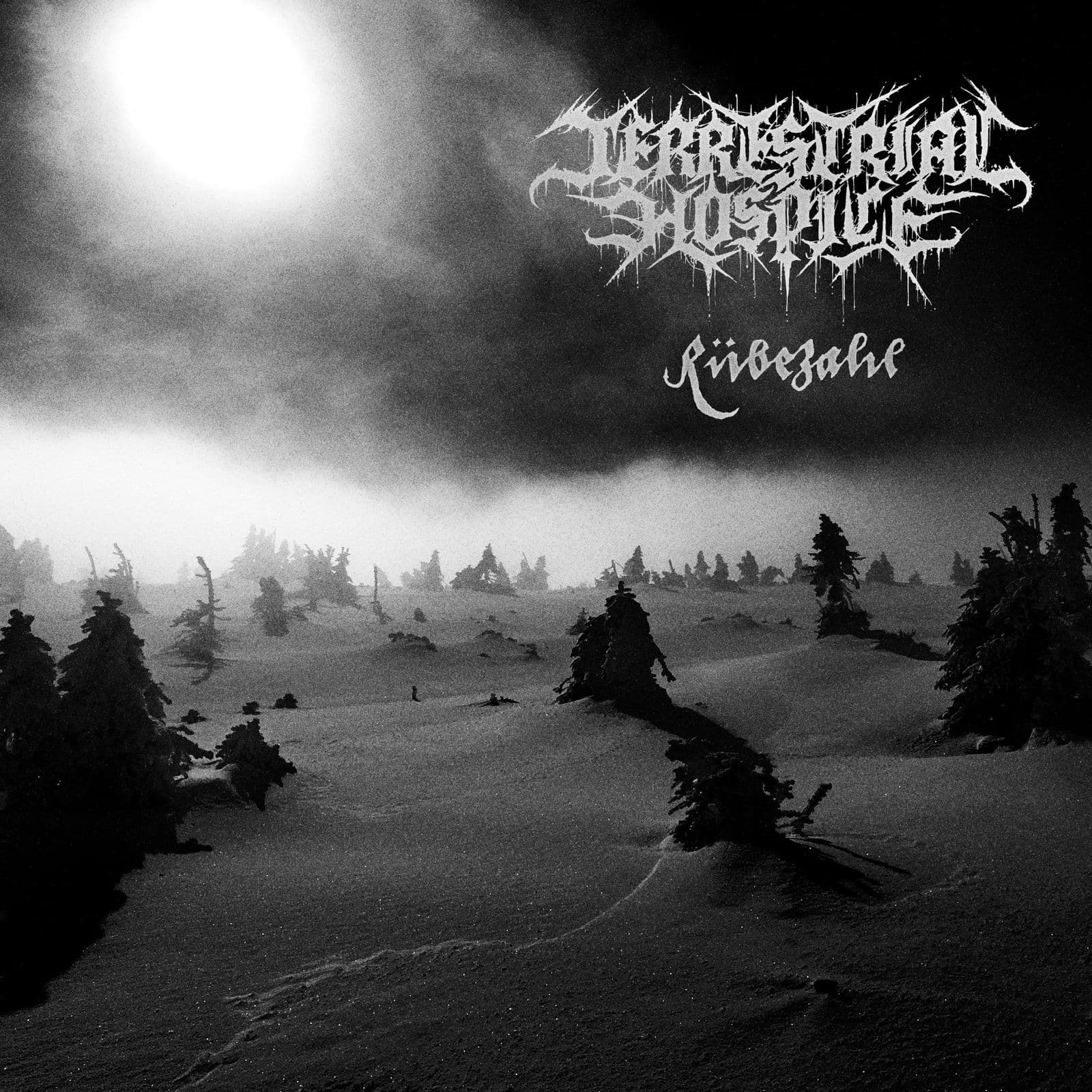 Terrestrial_Hospice-Ruebezahl-EP-24BIT-WEB-FLAC-2024-MOONBLOOD