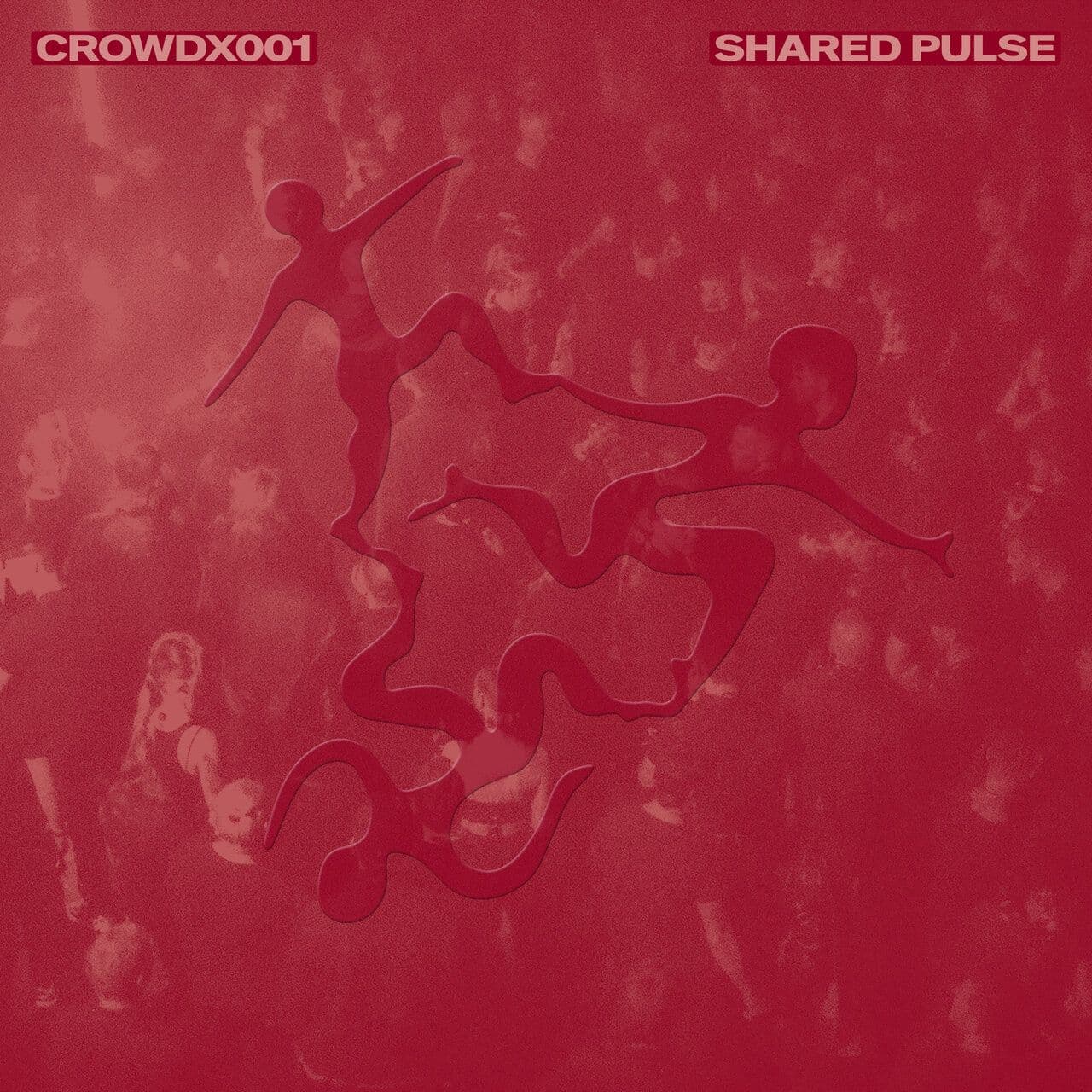 VA-Shared_Pulse-CROWDX001-WEB-2026-WAV