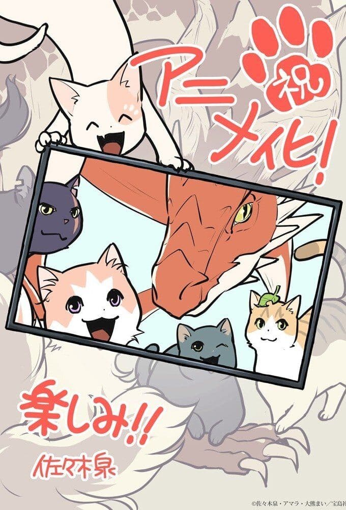 The Cat and the Dragon S01E09 The White Cat and the Lazy Girl 1080p CR WEB DL DDP2 0 H 264-Kitsune