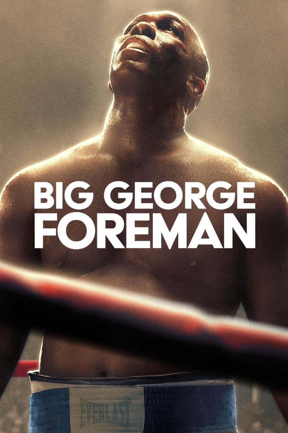Big George Foreman The Miraculous Story of the Once and Future Heavyweight Champion of the World 2023 1080p NF WEB DL DUAL DDP5 1 Atmos H 264-TURG