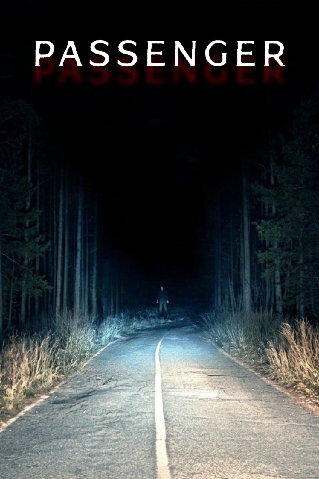 Passenger 2026 1080P WEB H264-POKE