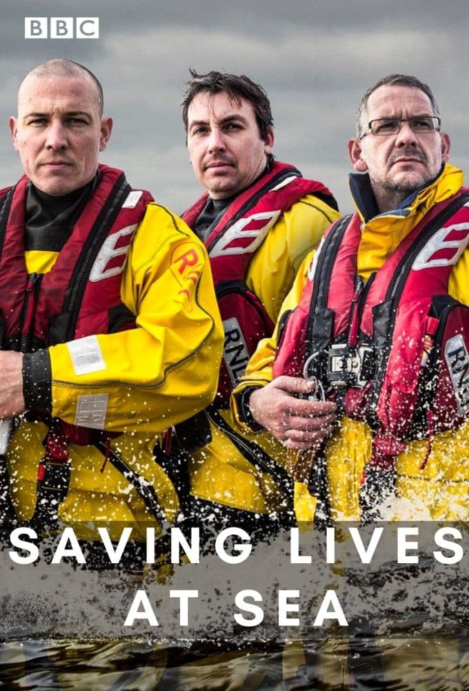 Saving Lives At Sea S11E05 480p WEB x264-RMTeam