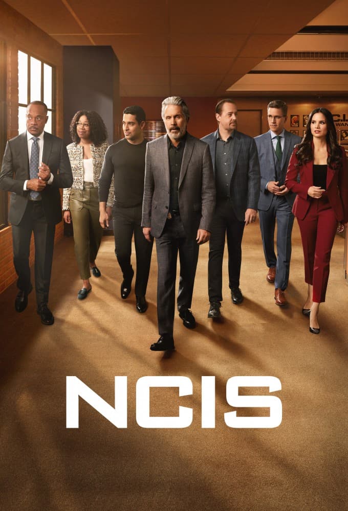 NCIS S23E14 MULTi 480p x264-mSD