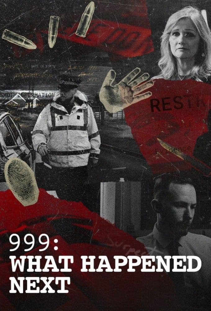 999 What Happened Next S02E01 1080p ALL4 WEB DL AAC2 0 H 264-RAWR