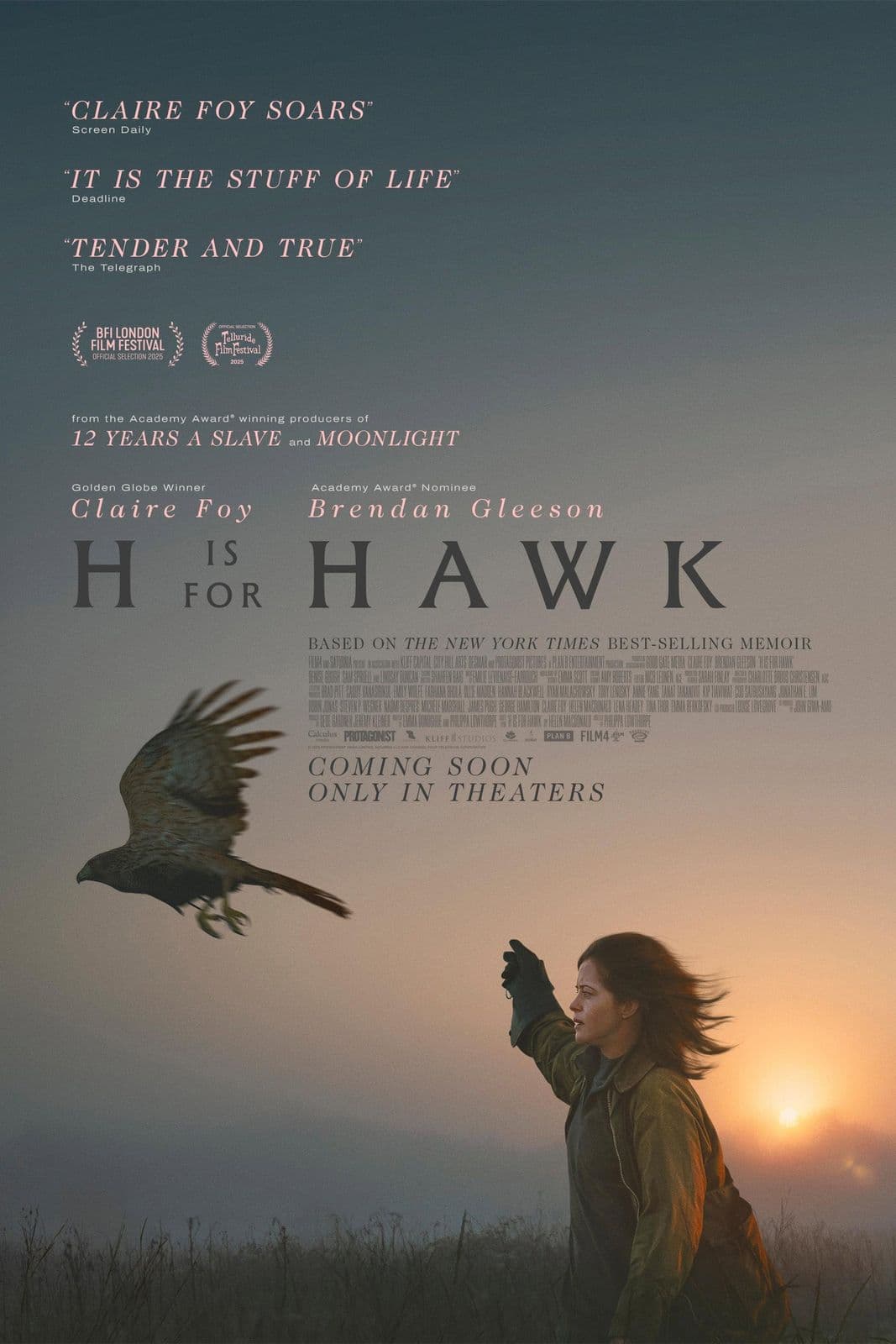 H Is for Hawk 2025 CZECH HDTV x264-iCZi