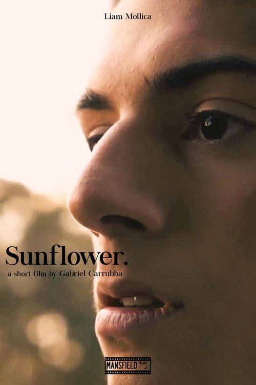 sunflower 2023 web h264-rbb