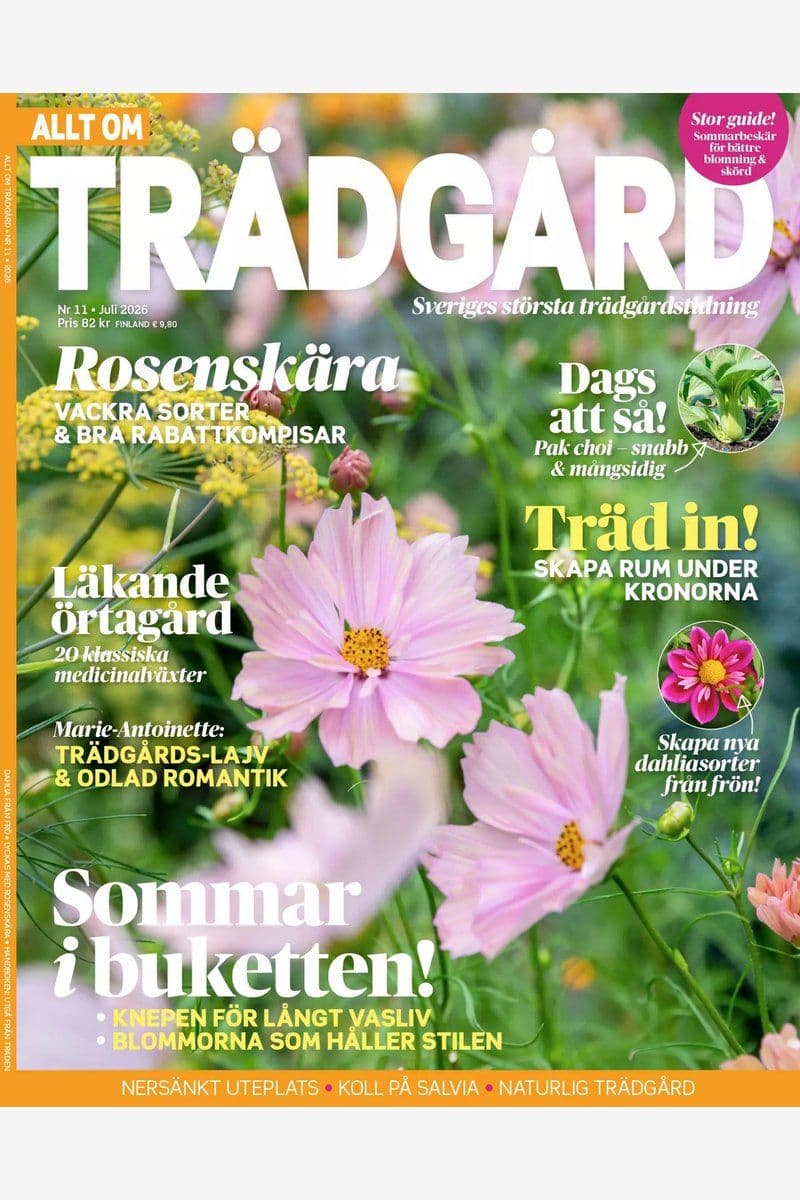 Allt.Om.Tradgard.No.11.2026.SWEDiSH.HYBRiD.MAGAZiNE.eBook-AgentX