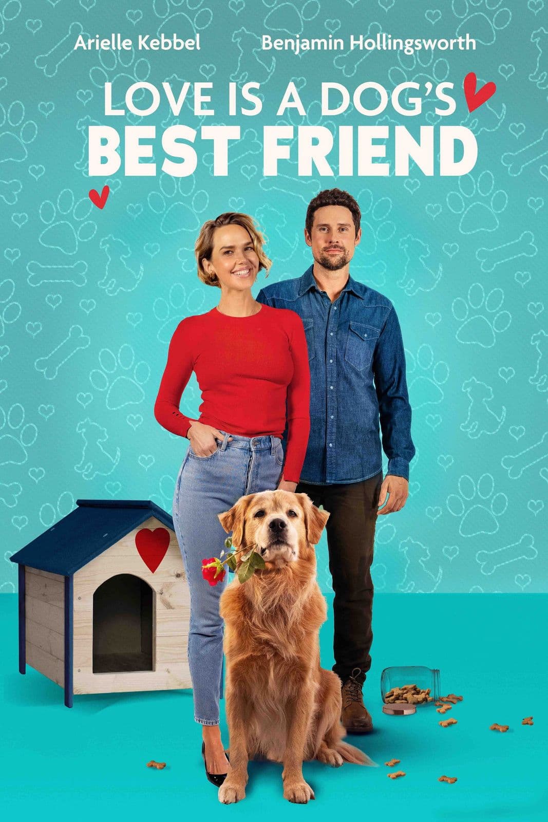 Love Is A Dogs Best Friend 2025 1080p WEB DL HEVC x265-BONE